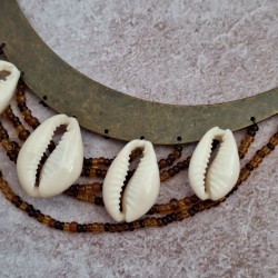Collier plastron cauris